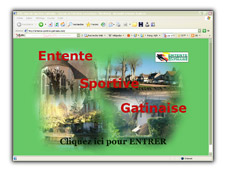 www.entente-sportive-gatinaise.com